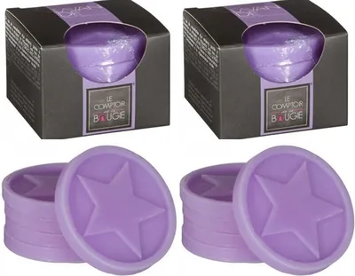 Produktbild von GKA 10 Stück Lavendel Wax Melts Duftwachs für Duftlampe Lavendelwachs Wachsschmelzen in einer Geschenkbox