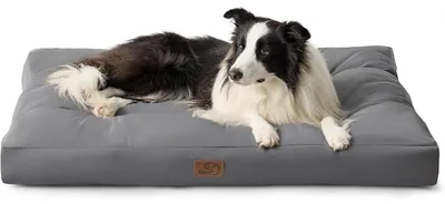 Produktbild von Hundebett Waschbar Dunkelgrau 91x68x10 cm Gepolstert Kühlmatte Outdoor