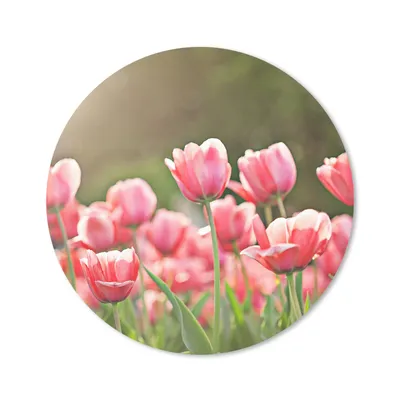 Produktbild von MuchoWow® Mauspad Mousepad Tulpen - Sonne - Frühling 40x40 cm - Mousepads - Maus Mat - Pad - Mausunterlage - Schreibtisch Accessoires