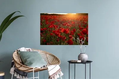 Produktbild von MuchoWow® - Wierderverwendbar - Selbstklebend
