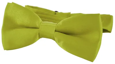 Produktbild von DonDon® Edle Kinder Fliege gebunden und längenverstellbar 9 x 4,5 cm grün glänzend in Seidenlook