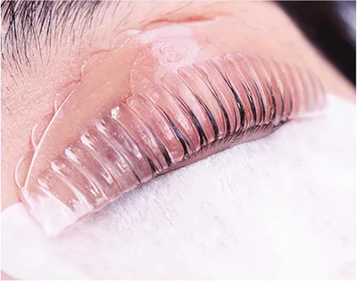 Image de Coussinets pour lifting des cils, 4 tailles (S, M, L, XL), en silicone, pour les cils