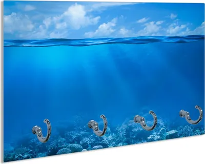 Produktbild von Wallario Handtuchhalter aus Glas, Motiv: Unterwasserwelt Meer, 30 x 20 cm mit 4 Haken