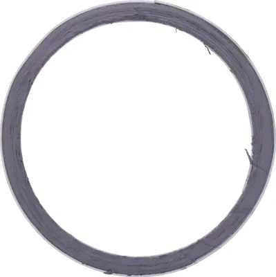 Immagine prodotto di 2 guarnizioni del collettore per Kawasaki VN 800 B Classic, anni di produzione 1996-2006, di pamoto - Nuove