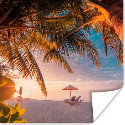 Produktbild von MuchoWow® Poster Strand - Palme - Meer 50x50 cm - Wohnzimmerdekoration