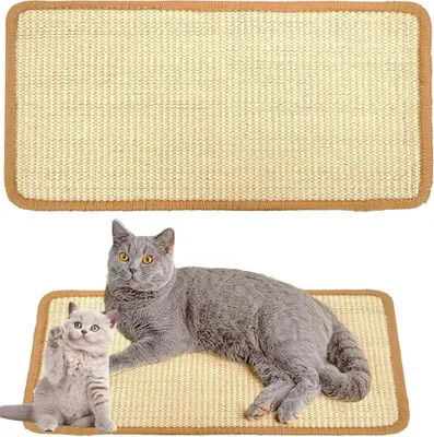 Produktbild von Krabmat 50 x 25 cm - Sisal Teppich für Katzen - Kratzbrett Wand - Strapazierfähig - Schützt Teppiche und Sofas