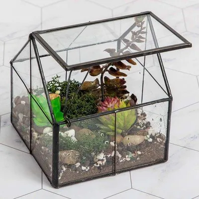 Obrázek produktu pro Skleněné terárium – dekorativní miska na rostliny – 1 ks – 12,7 cm × 10,9 cm × 10,9 cm
