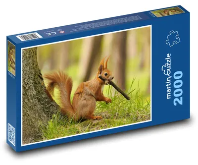 Zdjęcie produktu dla martinpuzzle - Puzzle 2000 - Veverka