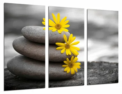 Holz-Wandbild gerahmt 97x62 cm XXL Zen Landschaft