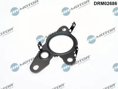 Immagine prodotto di Guarnizione Valvola Egr Renault Master 2.3Dci 14-