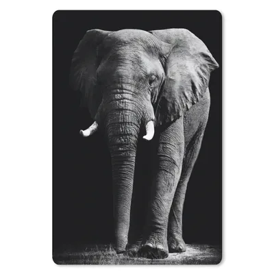 Produktbild von MuchoWow® Mauspad Mousepad Elefant - Schwarz - Weiß - Wilde Tiere 18x27 cm - Mousepads - Maus Mat - Pad - Mausunterlage
