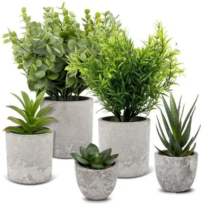 Produktbild von Kunstplanten Set 5 Stück kleine Deko Pflanzen für Schlafzimmer