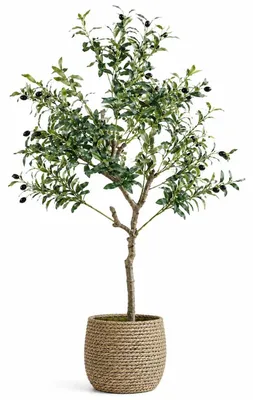 Image de Arbre d'olivier artificiel - 120 cm, résistant aux UV