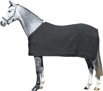 Produktbild von EQuest Pferdedecke Climatherm III, Regular - Schwarz, L 145 cm