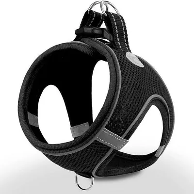 Produktbild von Famanu Hundegeschirr für kleine Hunde - Reflektierend, weich gepolstert, atmungsaktives Brustgeschirr, S, Schwarz