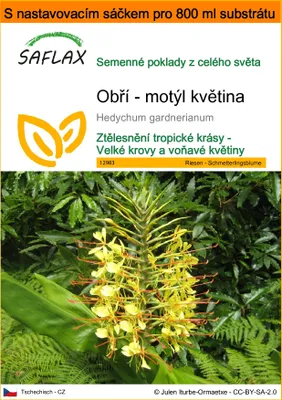 Obrázek produktu pro SAFLAX Garden in the bag - Obří - motýl květina - Hedychum gardnerianum - 10 Semena - S pěstebním substrátem v praktickém samovztyčovacím sáčku