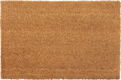Image de vidaXL Tapis de sol 2 pcs. Naturel 40x60 cm Fibre de coco Tufetée