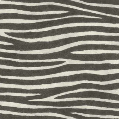 Produktbild von Vliestapete 751727 Tapete Tiere 53 x 1005 cm Rasch African Queen III Schwarz Weiß