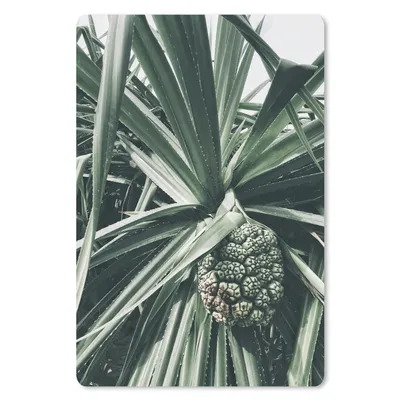 Produktbild von MuchoWow® Mauspad Mousepad Kaktus - Grün - Tropisch 18x27 cm - Mousepads - Maus Mat - Pad - Mausunterlage