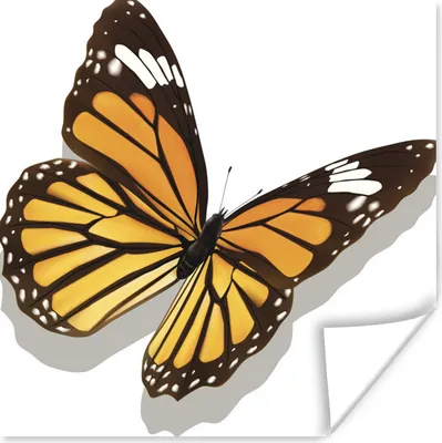 Produktbild von MuchoWow® Poster Eine Illustration eines Tigerfalters 50x50 cm - Wohnzimmerdekoration