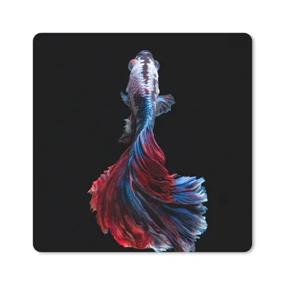 Produktbild von MuchoWow® Mauspad Mousepad Fisch - Schwanz - Schwarz 30x30 cm - Mousepads - Maus Mat - Pad - Mausunterlage - Gaming