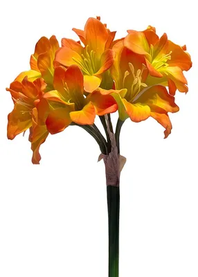 Produktbild von Clayre & Eef Kunstblume Orange Kunststoff