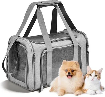 Productafbeelding van Transporttas voor Huisdieren - Grijs - 45 x 30 x 30 cm - Opvouwbare Hondentransportbox - Voor Katten en Kleine Honden