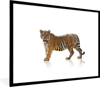 Produktbild von MuchoWow® Gerahmtes Poster Tiger - Tier - Weiß 80x60 cm - Poster mit Schwarzem Bilderrahmen Wandposter Rahmen Foto Bilder - Schlafzimmer-Dekorationen - Fotoposter