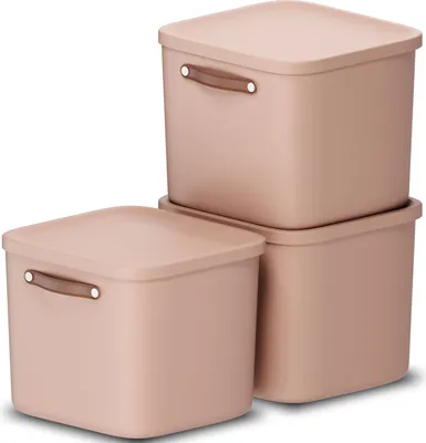 Produktbild von Rotho 3er-Set Aufbewahrungsbox 40L Maloja - Kunststoffbox mit Deckel - Stapelbox 39,5 x 38,0 x 34,0 cm - Plastikbox Ordnungsbox Allzweckkiste