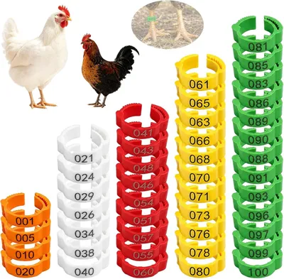 Imagen del producto de Anillas de identificación para aves de corral, de 16 a 18,5 mm, paquete de 100 unidades, disponibles en 5 colores, para gallinas y patos