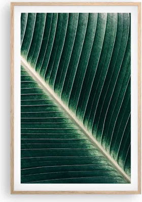 Produktbild von Gerahmtes Poster - Rahmen in heller Eiche - Grün Blatt Tropisch - 61x91,5 cm - Wand Bild - Wanddeko - Wandbilder - Wandposter - Bilderrahmen - Bilder - Kunstdruck - Wandbild - P2NPA61x91-4126