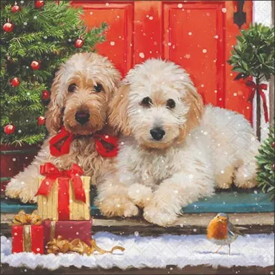 Produktbild von Weihnachten - Cocktail Servietten 25 x 25 cm – 3-lagig – 15