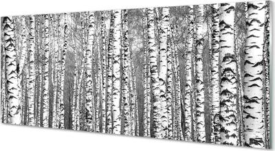 Produktbild von Glasbilder 125x50 Wandkunst Schwarz-Weiß-Baum