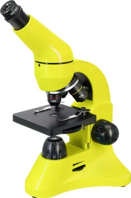 Image de Levenhuk - 69160 - Rainbow 50L PLUS Lime Microscope - (DE)