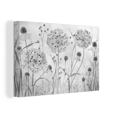 Zdjęcie produktu dla OneMillionCanvasses® - Obrazy na płótnie - 150x100 cm, Natura - Martwa natura - Czarno-biały, grafika ścienna, dekoracja ścienna