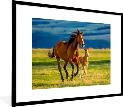 Produktbild von MuchoWow® Gerahmtes Poster Pferde - Gras - Tiere - Landschaft - Natur 80x60 cm - Poster mit Schwarzem Bilderrahmen Wandposter Rahmen Foto Bilder - Schlafzimmer-Dekorationen - Fotoposter