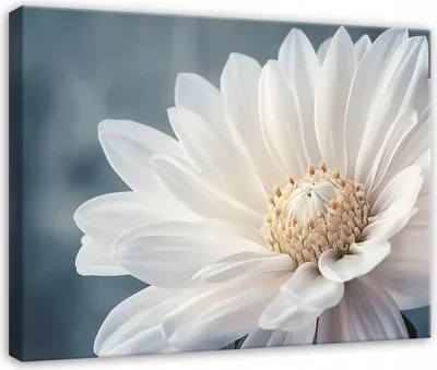 Produktbild von Wandbild Abstrakt Blumen - 12x080 cm - Leinwandbild - Bilder XXL - Wanddekoration - Leinwandbilder Wohnzimmer Schlafzimmer Flur