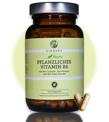 Produktbild von QIDOSHA Vitamin B6 12 mg, pflanzlich aus Guave, Mango & Tulsi, 120 Kapseln