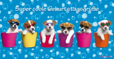 Produktbild von Geburtstag – Glückwunschkarte im Format 11,5 cm x 22 cm mit