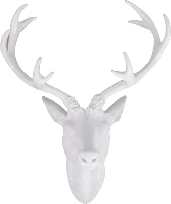 Image de XXL bois de cerf Tête de cerf Bois à 10 branches blanc 48x32x61cm