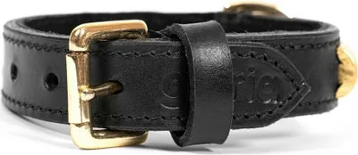 Image de Collier de chien gloria dune noir or (50 x 2,5 cm)