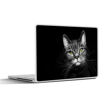 Produktbild von MuchoWow® Laptop Aufkleber Sticker Cover Haustiere - Katze - Tiere - Schwarz - Weiß 30x21 cm - Sticker für Laptop - Selbstklebend