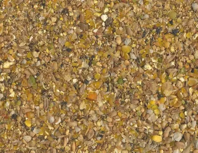 Produktbild von Havens Scharrel Mehl NG 25 kg, GMO-freien Variante