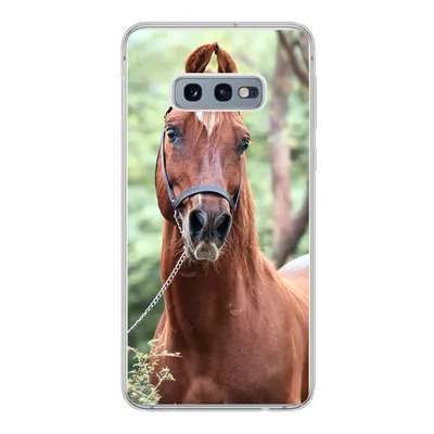 Produktbild von MuchoWow® Handyhülle Schutzhülle Hülle für Samsung Galaxy S10e Pferd - Wald - Halfter Silikon Softcase Handy Hülle - Handy