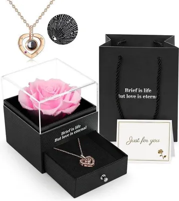 Produktbild von Famanu Konservierte Echte Rose im Glas mit "Ich liebe dich" Kette - Rosa