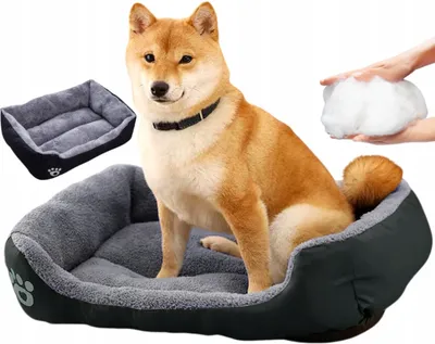A Shiba Inu dog sits in a dog bed, with another dog bed and stuffing shown in the background.