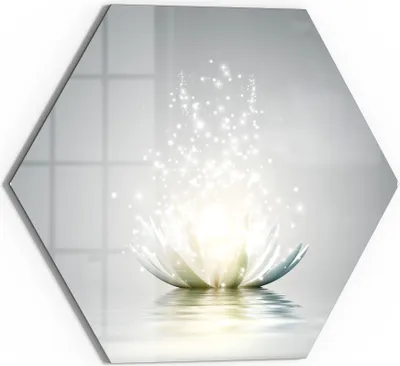 Produktbild von DEQORI Glasbild Echtglas 40x35 cm 'Funkelnde Lotusblüte' Wandbild Bild modern Deko