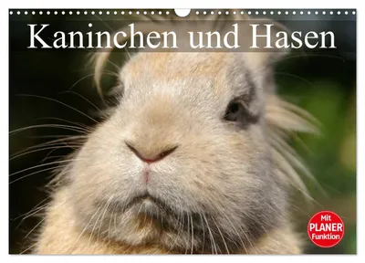 Produktbild von Kaninchen und Hasen (Wandkalender 2027 DIN A3 quer), CALVENDO Monatskalender