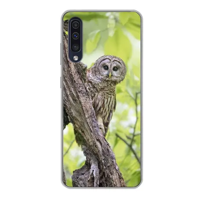 Produktbild von MuchoWow® Handyhülle Schutzhülle Hülle für Samsung Galaxy A50 Eule - Wald - Licht Silikon Softcase Handy Hülle - Mobiltelefonhülle