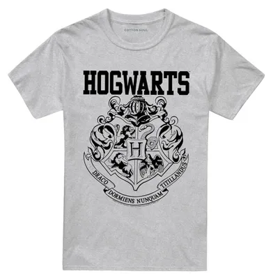 Obrázok produktu pre Harry Potter – Tričko pre pánov/dámy, uni, model TV40707 (veľkosť XL) (športový, svetlohnedý odtieň)